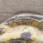 CAT 3406B Caterpillar Diesel Engine Oil Cooler Assembly OEM - 1150$ Picture 1 of 5 Picture 2 of 5 Picture 3 of 5 Picture 4 of 5 Picture 5 of 5 Picture 1 of 5 Picture 2 of 5