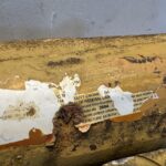 2004 CAT C-13 Diesel Engine Oil Cooler 4W6043 with Filter Housing OEM - 500$ Picture 1 of 5 Picture 2 of 5 Picture 3 of 5 Picture 4 of 5 Picture 5 of 5 Picture 1 of 5 Picture 2 of 5