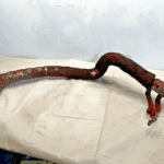 2006 CUMMINIS ISX 14.9L L6 Diesel Engine EGR MANIFOLD PIPE 3683063 OEM - 261$ Picture 1 of 4 Picture 2 of 4 Picture 3 of 4 Picture 4 of 4 Picture 1 of 4