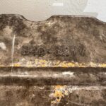 CATERPILLAR DIESEL ENGINE CAT C13 OIL PAN 2403277 OEM 2308981 - 1237.5$ Picture 1 of 7 Picture 2 of 7 Picture 3 of 7 Picture 4 of 7 Picture 5 of 7 Picture 6 of 7 Picture 7 of 7 Picture 1 of 7 Picture 2 of 7 Picture 3 of 7 Picture 4 of 7 Picture 5 of 7