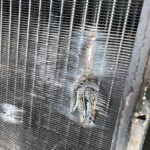 246000 Detroit Diesel 4-53 Power Unit Radiator 25 x 25-13/16 x 3-7/16 OEM - 375$ Picture 1 of 6 Picture 2 of 6 Picture 3 of 6 Picture 4 of 6 Picture 5 of 6 Picture 6 of 6 Picture 1 of 6 Picture 2 of 6 Picture 3 of 6