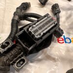 Cummins ISL 8.3 DIESEL ENGINE MAIN WIRING HARNESS 5364869 OEM - 486$ Picture 1 of 5 Picture 2 of 5 Picture 3 of 5 Picture 4 of 5 Picture 5 of 5 Picture 1 of 5 Picture 2 of 5 Picture 3 of 5 Picture 4 of 5