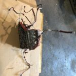 Cummins ISX15 Diesel Engine Fuel Filter Housing with lines 3688853, 3688896 OEM -  Picture 1 of 6 Picture 2 of 6 Picture 3 of 6 Picture 4 of 6 Picture 5 of 6 Picture 6 of 6 Picture 1 of 6 Picture 2 of 6 Picture 3 of 6 Picture 4 of 6