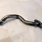 Cummins QSL9 ISL ISC 8.9L Diesel Engine Turbo Oil Drain Connection 5251355 OEM - 135$ Picture 1 of 5 Picture 2 of 5 Picture 3 of 5 Picture 4 of 5 Picture 5 of 5 Picture 1 of 5 Picture 2 of 5