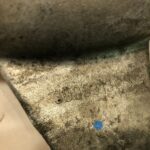 International Maxxforce 13 Coolant Tube 3005313C3 w/ Bosch Sensor OEM - 145$ Picture 1 of 6 Picture 2 of 6 Picture 3 of 6 Picture 4 of 6 Picture 5 of 6 Picture 6 of 6 Picture 1 of 6 Picture 2 of 6 Picture 3 of 6 Picture 4 of 6 Picture 5 of 6 Picture 6 of 6