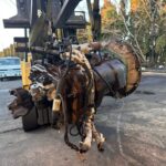 Eaton Fuller 10 speed Automatic Transmission Assy Autoshift RTO16910B-DM3 OEM - 2970$ Picture 1 of 10 Picture 2 of 10 Picture 3 of 10 Picture 4 of 10 Picture 5 of 10 Picture 6 of 10 Picture 7 of 10 Picture 8 of 10 Picture 9 of 10 Picture 10 of 10 Picture 1 of 10 Picture 2 of 10 Picture 3 of 10 Picture 4 of 10 Picture 5 of 10 Picture 6 of 10 Picture 7 of 10 Picture 8 of 10 Picture 9 of 10 Picture 10 of 10