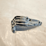 2017-2023 FREIGHTLINER CASCADIA 14.8L DD15 ENGINE BRACKET A4730982039 OEM - 63$ Picture 1 of 4 Picture 2 of 4 Picture 3 of 4 Picture 4 of 4 Picture 1 of 4