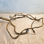 CAT 3406C Caterpillar Diesel Engine Main Wiring harness OEM - 387$ Picture 1 of 8 Picture 2 of 8 Picture 3 of 8 Picture 4 of 8 Picture 5 of 8 Picture 6 of 8 Picture 7 of 8 Picture 8 of 8 Picture 1 of 8