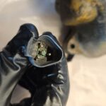 CAT 3406C Caterpillar Diesel Engine Main Wiring harness OEM - 387$ Picture 1 of 8 Picture 2 of 8 Picture 3 of 8 Picture 4 of 8 Picture 5 of 8 Picture 6 of 8 Picture 7 of 8 Picture 8 of 8 Picture 1 of 8 Picture 2 of 8