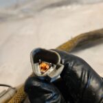 CAT 3406C Caterpillar Diesel Engine Main Wiring harness OEM - 387$ Picture 1 of 8 Picture 2 of 8 Picture 3 of 8 Picture 4 of 8 Picture 5 of 8 Picture 6 of 8 Picture 7 of 8 Picture 8 of 8 Picture 1 of 8 Picture 2 of 8 Picture 3 of 8 Picture 4 of 8 Picture 5 of 8