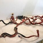 Cummins ISB 6.7 DIESEL ENGINE WIRING HARNESS 5364759 OEM - 575$ Picture 1 of 6 Picture 2 of 6 Picture 3 of 6 Picture 4 of 6 Picture 5 of 6 Picture 6 of 6 Picture 1 of 6 Picture 2 of 6