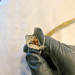 For parts CAT Caterpillar 3406 Diesel Engine Fuel Temperature Sensor 102-2240 OE - 65$ Picture 1 of 4 Picture 2 of 4 Picture 3 of 4 Picture 4 of 4 Picture 1 of 4 Picture 2 of 4