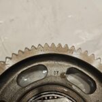 1997-2013 International Maxxforce DT466E Lower Idler Timing Gear 1824636C1 OEM - 72$ Picture 1 of 4 Picture 2 of 4 Picture 3 of 4 Picture 4 of 4 Picture 1 of 4 Picture 2 of 4 Picture 3 of 4