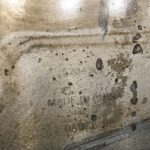 Cummins ISL9 8.9 Diesel Engine OIL COOLER 5284362 OEM - 166.5$ Picture 1 of 4 Picture 2 of 4 Picture 3 of 4 Picture 4 of 4 Picture 1 of 4 Picture 2 of 4 Picture 3 of 4 Picture 4 of 4