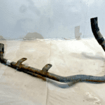 Detroit Diesel DD15 Freightliner Engine Heater Return Pipe A05-28520-001 OEM - 76.5$ Picture 1 of 4 Picture 2 of 4 Picture 3 of 4 Picture 4 of 4 Picture 1 of 4 Picture 2 of 4 Picture 3 of 4 Picture 4 of 4