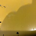 Genuine John Deere 6068 HF485 6.8 Diesel Engine Oil Pan RE537487 OEM - 1170$ Picture 1 of 7 Picture 2 of 7 Picture 3 of 7 Picture 4 of 7 Picture 5 of 7 Picture 6 of 7 Picture 7 of 7 Picture 1 of 7 Picture 2 of 7 Picture 3 of 7 Picture 4 of 7 Picture 5 of 7