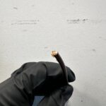 6 Gauge ENAMEL COATED SOLID COPPER WIRE 6 AWG 4.1mm 1000 FEET ROLL - 1150$ Picture 1 of 7 Picture 2 of 7 Picture 3 of 7 Picture 4 of 7 Picture 5 of 7 Picture 6 of 7 Picture 7 of 7 Picture 1 of 7 Picture 2 of 7 Picture 3 of 7 Picture 4 of 7 Picture 5 of 7 Picture 6 of 7