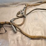 CAT 3406E Diesel Engine wiring harness 1381011 OEM -  Picture 1 of 6 Picture 2 of 6 Picture 3 of 6 Picture 4 of 6 Picture 5 of 6 Picture 6 of 6 Picture 1 of 6 Picture 2 of 6 Picture 3 of 6 Picture 4 of 6 Picture 5 of 6