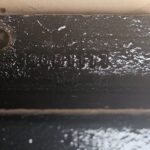 Cummins N14 Plus Diesel Engine Oil Cooler & Filter Assembly 3081177 3072372 OEM - 445.5$ Picture 1 of 8 Picture 2 of 8 Picture 3 of 8 Picture 4 of 8 Picture 5 of 8 Picture 6 of 8 Picture 7 of 8 Picture 8 of 8 Picture 1 of 8 Picture 2 of 8 Picture 3 of 8 Picture 4 of 8 Picture 5 of 8