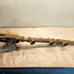 Cummins NTA855 Diesel Engine Complete Thermostat Housing 211435 301300 215042 OE - 945$ Picture 1 of 7 Picture 2 of 7 Picture 3 of 7 Picture 4 of 7 Picture 5 of 7 Picture 6 of 7 Picture 7 of 7 Picture 1 of 7 Picture 2 of 7 Picture 3 of 7 Picture 4 of 7 Picture 5 of 7 Picture 6 of 7 Picture 7 of 7